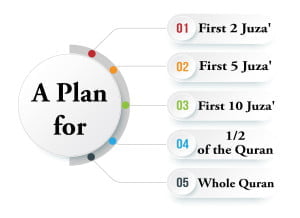 Hifz Quran online with a plan